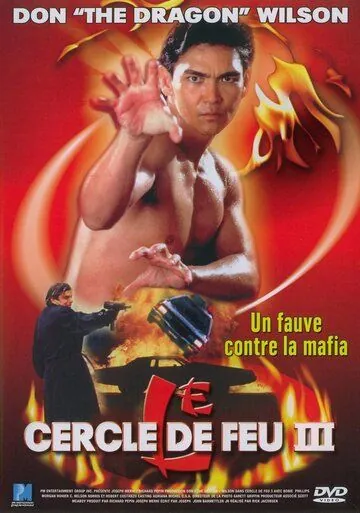 Огненное кольцо 3: Удар льва / Lion Strike (1994) фильм скачать через торрет бесплатно в хорошем качестве