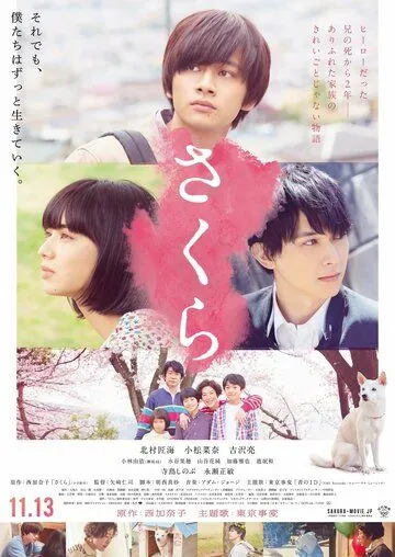 Сакура / Sakura (2020) фильм скачать через торрет бесплатно в хорошем качестве