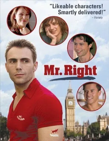 Мистер идеал / Mr. Right (2009) фильм скачать через торрет бесплатно в хорошем качестве