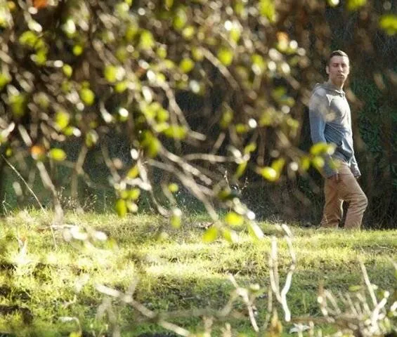 Оранжевый тигр (2014) в хорошем качестве скачать торрент файл Оранжевый тигр (2014) фильм в хорошем качестве скачать торрент файл