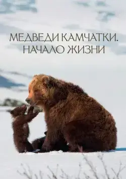 Медведи Камчатки. Начало жизни (2018) фильм скачать через торрет бесплатно в хорошем качестве