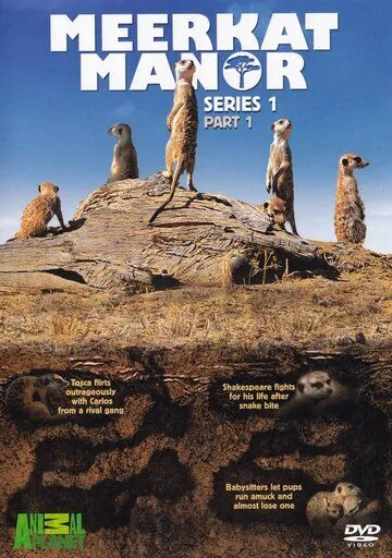 Поместье сурикат / Meerkat Manor (2005) cериал скачать через торрет бесплатно в хорошем качестве