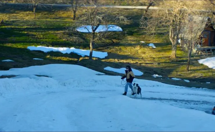 Анатомия падения (2023) скачать торрент бесплатно Анатомия падения (2023) фильм скачать торрент бесплатно