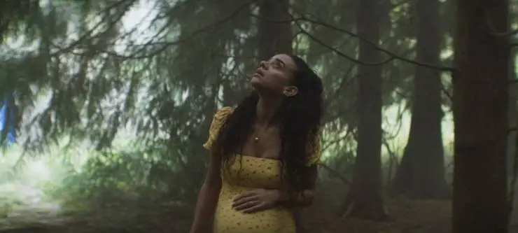 Гремлины: Хранители леса (2021) в хорошем качестве скачать торрент файл Гремлины: Хранители леса (2021) фильм в хорошем качестве скачать торрент файл