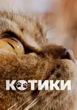 Котики / Cat Daddies (2022) фильм скачать через торрет бесплатно в хорошем качестве
