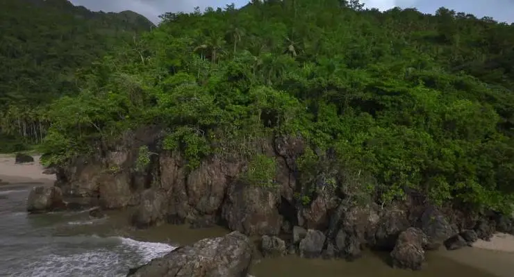 Выжившая (2023) скачать торрент бесплатно Выжившая (2023) фильм скачать торрент бесплатно