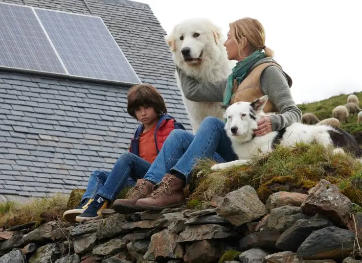 Белль и Себастьян: Новое поколение (2022) скачать торрент файл Белль и Себастьян: Новое поколение (2022) фильм скачать торрент файл