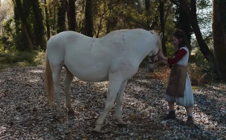 Italian Best Shorts 5: Жизнь как чудо (2023) скачать торрент бесплатно Italian Best Shorts 5: Жизнь как чудо (2023) фильм скачать торрент бесплатно