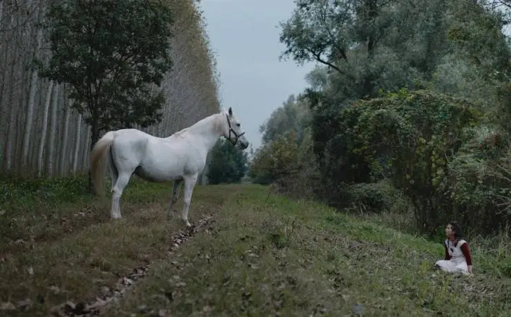 Italian Best Shorts 5: Жизнь как чудо (2023) в хорошем качестве скачать торрент файл Italian Best Shorts 5: Жизнь как чудо (2023) фильм в хорошем качестве скачать торрент файл