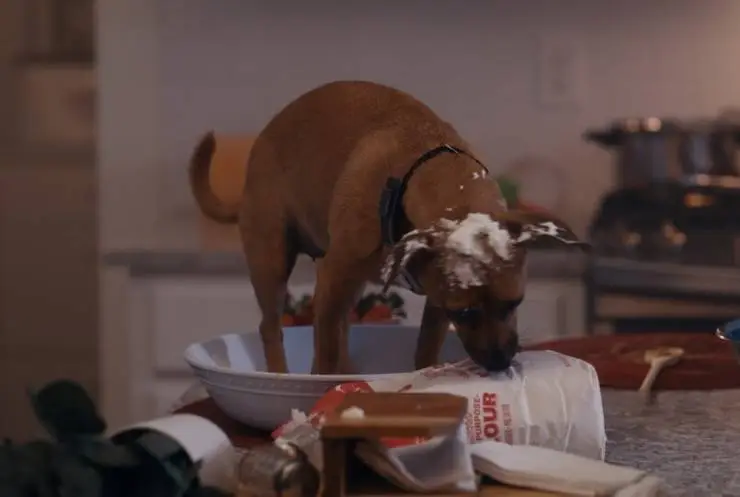 Хвостатые пришельцы (2023) в хорошем качестве скачать торрент файл Хвостатые пришельцы (2023) фильм в хорошем качестве скачать торрент файл