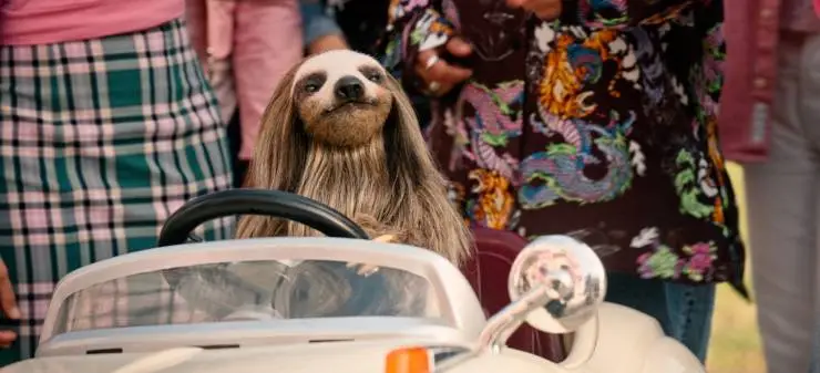 Мой ленивец-убийца (2023) скачать торрент файл Мой ленивец-убийца (2023) фильм скачать торрент файл