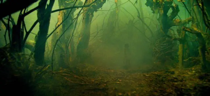 Кошмары лунного сада (2022) скачать торрент файл Кошмары лунного сада (2022) фильм скачать торрент файл