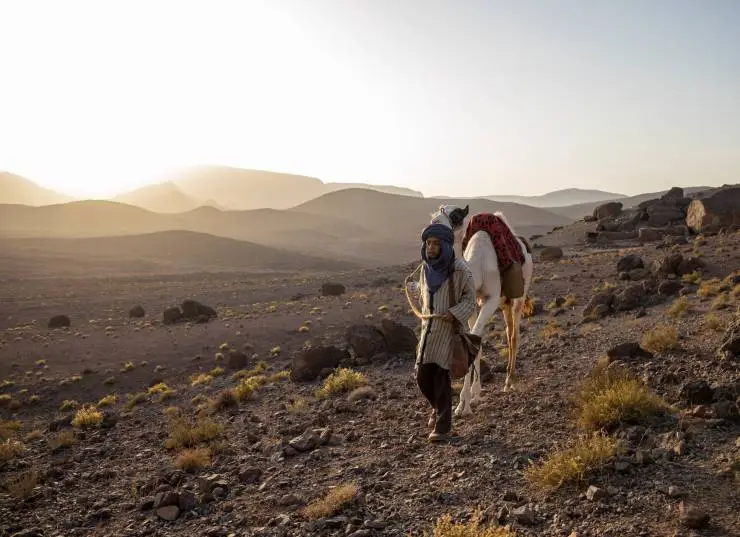 Принц пустыни (2023) скачать торрент файл Принц пустыни (2023) фильм скачать торрент файл