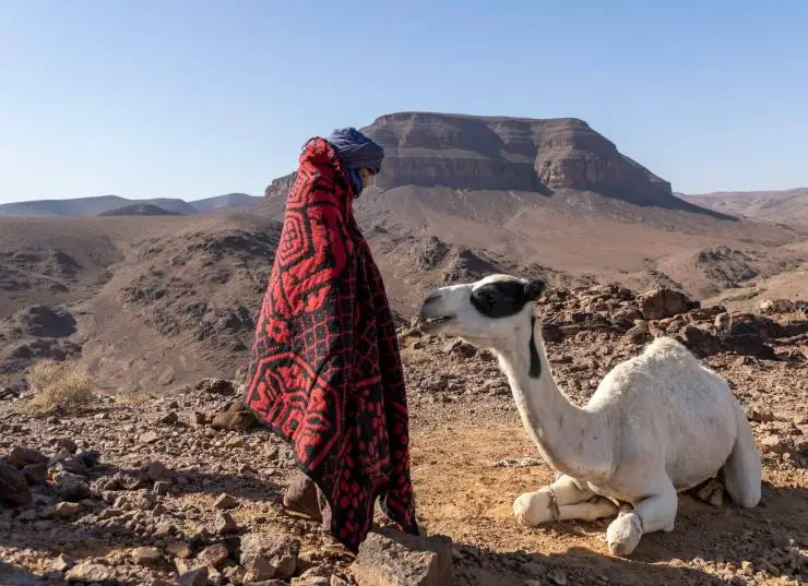 Принц пустыни (2023) скачать торрент бесплатно Принц пустыни (2023) фильм скачать торрент бесплатно