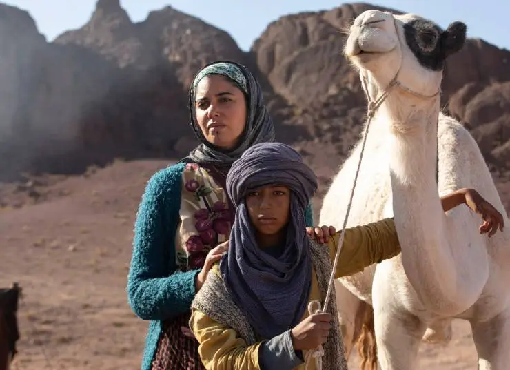 Принц пустыни (2023) в хорошем качестве скачать торрент файл Принц пустыни (2023) фильм в хорошем качестве скачать торрент файл