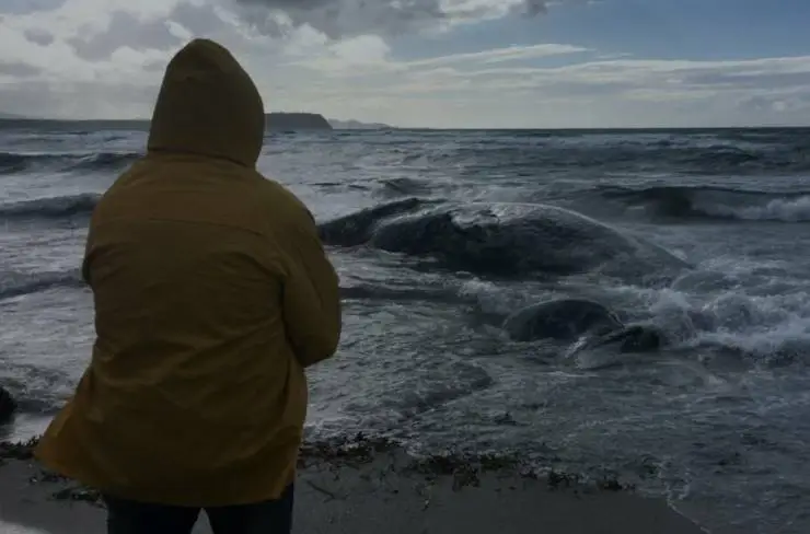 Italian Best Shorts 6: Дом, милый дом (2023) скачать торрент бесплатно Italian Best Shorts 6: Дом, милый дом (2023) фильм скачать торрент бесплатно