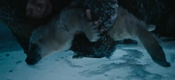 Дух Байкала (2023) в хорошем качестве скачать торрент файл Дух Байкала (2023) фильм в хорошем качестве скачать торрент файл