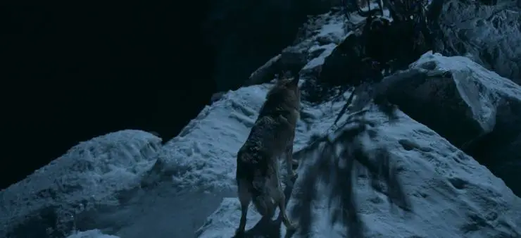 Дух Байкала (2023) скачать торрент бесплатно Дух Байкала (2023) фильм скачать торрент бесплатно