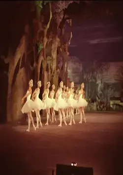 Лебединое озеро (1966) скачать торрент бесплатно Лебединое озеро (1966) фильм скачать торрент бесплатно