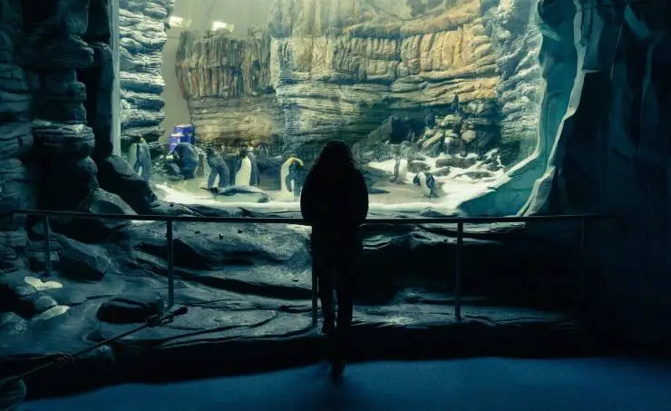 По правилам и без (2022) в хорошем качестве скачать торрент файл По правилам и без (2022) фильм в хорошем качестве скачать торрент файл