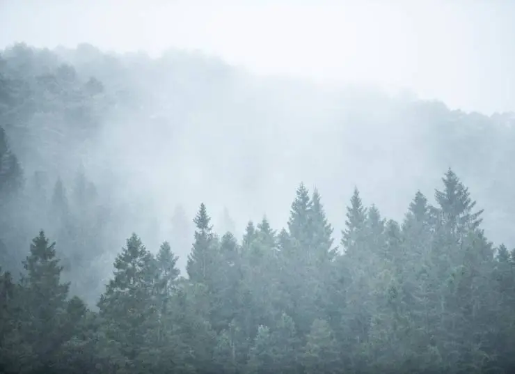 Потомство дьявола (2022) скачать торрент файл Потомство дьявола (2022) фильм скачать торрент файл