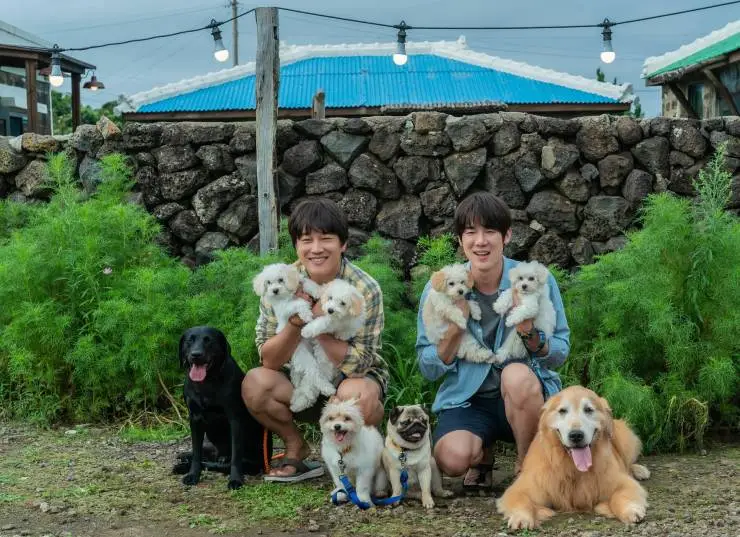 Мой пёс Руни (2023) скачать торрент файл Мой пёс Руни (2023) фильм скачать торрент файл