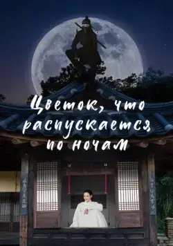 Цветок, что распускается по ночам / Bame pineun kkot (2024) cериал скачать через торрет бесплатно в хорошем качестве