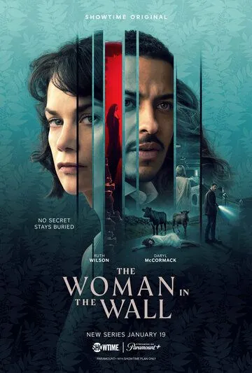 Женщина в стене / The Woman in the Wall (2023) cериал скачать через торрет бесплатно в хорошем качестве