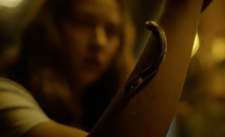 Внутри убийцы (2024) 1 сезон 1-1,2,3,4,5 серия в хорошем качестве скачать торрент файл Внутри убийцы (2024) сериал 1-1,2,3,4,5 серию 1 сезона в хорошем качестве скачать торрент файл