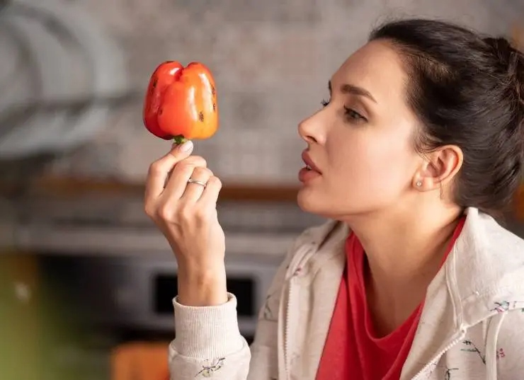 Семейка (2021) 1-2 сезон 1-15,16,17 серия скачать торрент бесплатно Семейка (2021) сериал 1-15,16,17 серию 1-2 сезона скачать торрент бесплатно