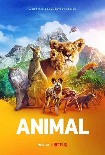 Удивительные животные / Animal (2021) cериал скачать через торрет бесплатно в хорошем качестве