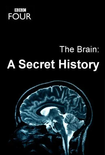 Мозг: Тайны сознания / The Brain: A Secret History (2011) cериал скачать через торрет бесплатно в хорошем качестве