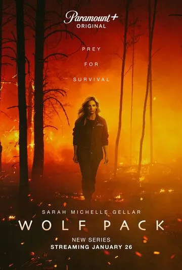 Волчья стая / Wolf Pack (2023) cериал скачать через торрет бесплатно в хорошем качестве