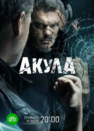 Акула (2021) cериал скачать через торрет бесплатно в хорошем качестве