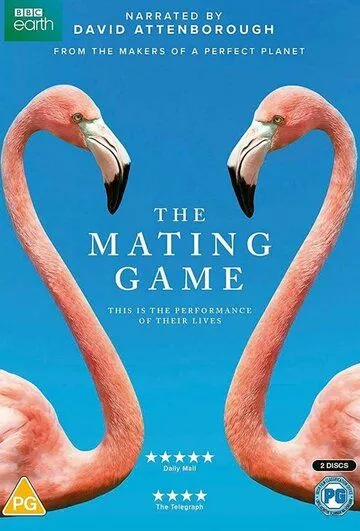 Брачная Игра / The Mating Game 2021 смотреть онлайн cериал в хорошем качестве