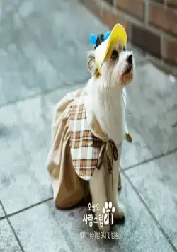 Отличный день, чтобы стать собакой (2023) 1 сезон 1-12,13,14 серия в хорошем качестве скачать торрент файл Отличный день, чтобы стать собакой (2023) сериал 1-12,13,14 серию 1 сезона в хорошем качестве скачать торрент файл