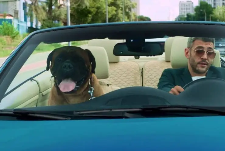 Джек и Лондон (2021) 1 сезон 1-10,11,12 серия скачать торрент бесплатно Джек и Лондон (2021) сериал 1-10,11,12 серию 1 сезона скачать торрент бесплатно