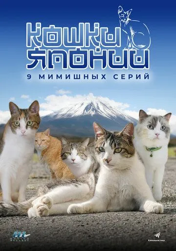 Кошки Японии / Cats of Japan (2017) cериал скачать через торрет бесплатно в хорошем качестве