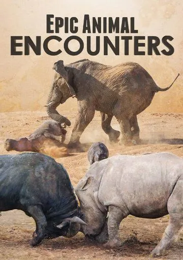 Невероятные встречи с животными / Epic Animal Encounters (2019) cериал скачать через торрет бесплатно в хорошем качестве