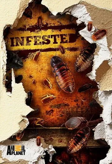 Вторжение паразитов / Infested! (2011) cериал скачать через торрет бесплатно в хорошем качестве