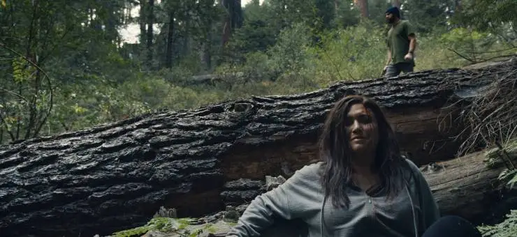 Тот, кто смотрит (2024) скачать торрент файл Тот, кто смотрит (2024) фильм скачать торрент файл