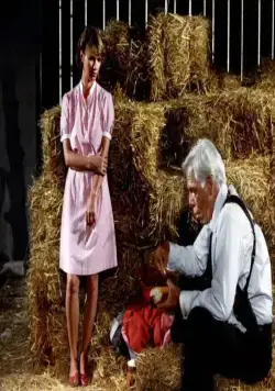 Кровавая жара (1983) в хорошем качестве скачать торрент файл Кровавая жара (1983) фильм в хорошем качестве скачать торрент файл