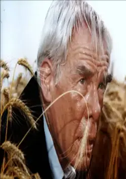 Кровавая жара (1983) скачать торрент бесплатно Кровавая жара (1983) фильм скачать торрент бесплатно