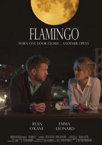Фламинго / Flamingo (2020) фильм скачать через торрет бесплатно в хорошем качестве