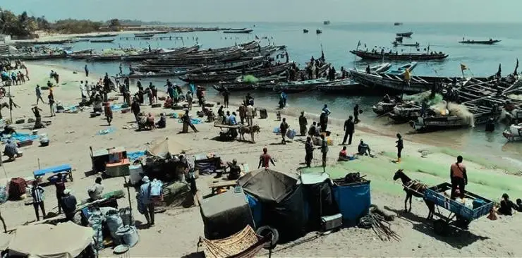 Салум (2021) в хорошем качестве скачать торрент файл Салум (2021) фильм в хорошем качестве скачать торрент файл