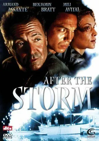 После шторма / After the Storm (2001) фильм скачать через торрет бесплатно в хорошем качестве