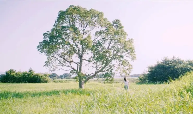 Красный почтовый ящик на улице Эшер (2020) скачать торрент файл Красный почтовый ящик на улице Эшер (2020) фильм скачать торрент файл