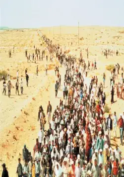 Изгнанники (2004) скачать торрент файл Изгнанники (2004) фильм скачать торрент файл