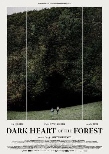 Темное сердце леса / Le coeur noir des forêts (2021) фильм скачать через торрет бесплатно в хорошем качестве