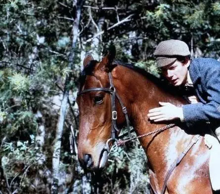 Мельбурнский кубок (1985) скачать торрент бесплатно Мельбурнский кубок (1985) фильм скачать торрент бесплатно
